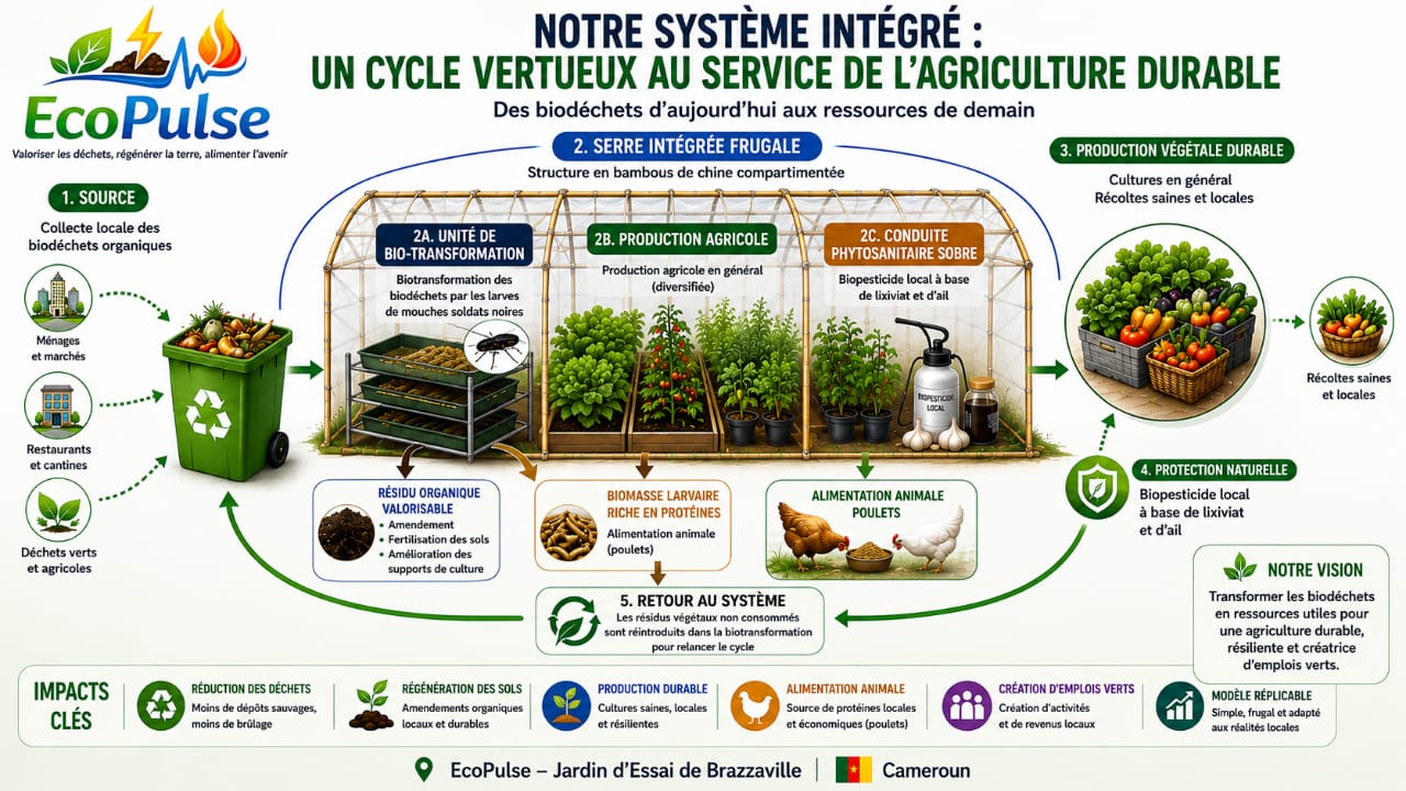 Couverture du projet EcoPulse